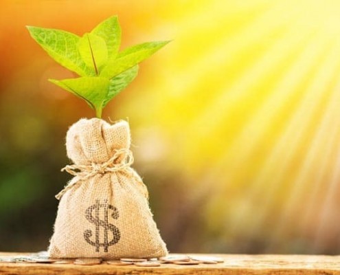 Money tree